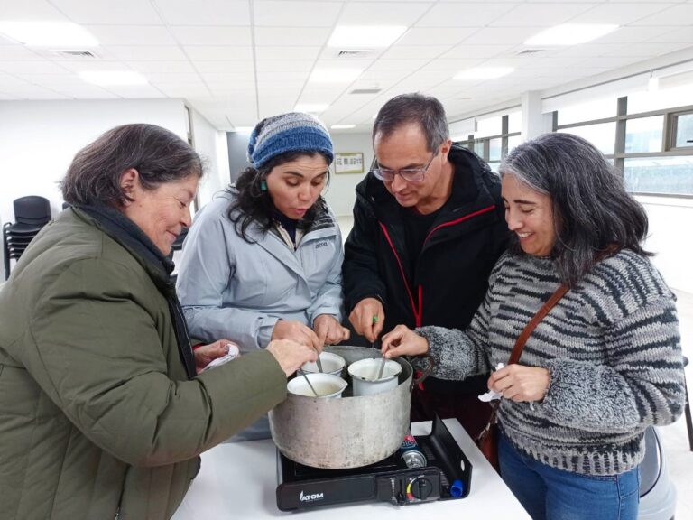 imagen 1 boletín 16 trabajo con hierbas medicinales